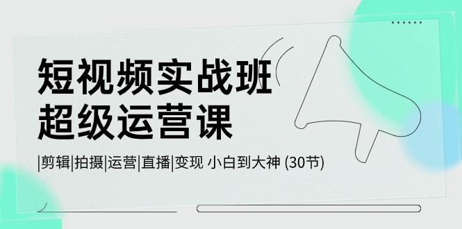 短视频实战班-超级运营课，|剪辑|拍摄|运营|直播|变现 小白到大神 (30节)_天恒副业网