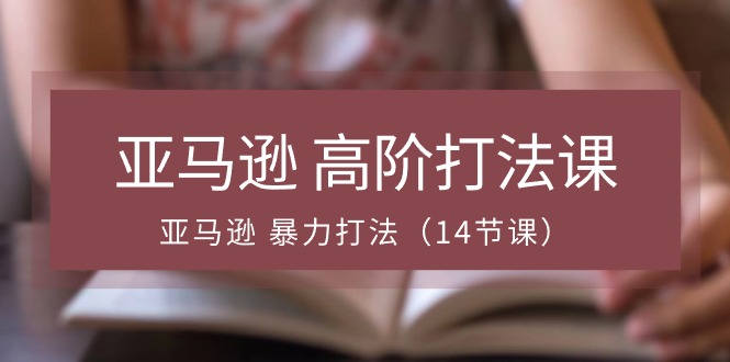 亚马逊 高阶打法课，亚马逊 暴力打法（14节课）_天恒副业网