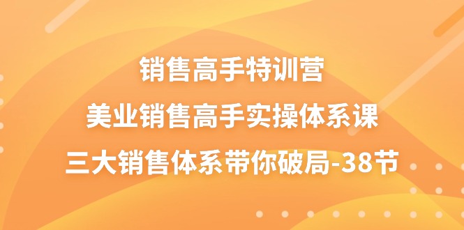 销售-高手特训营，美业-销售高手实操体系课，三大销售体系带你破局_天恒副业网