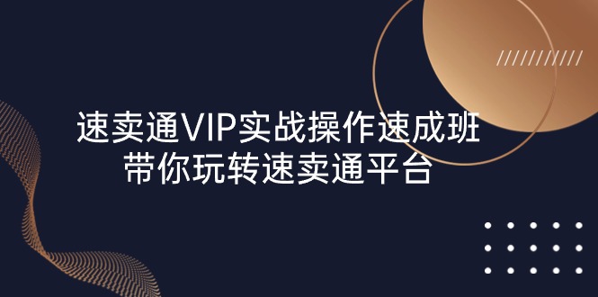 速卖通 VIP实战操作-速成班，带你玩转速卖通平台_天恒副业网