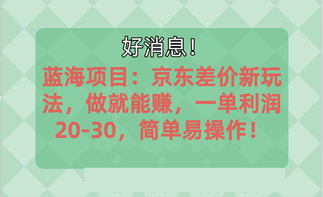 蓝海项目:京东大平台操作,一单利润20-30_天恒副业网