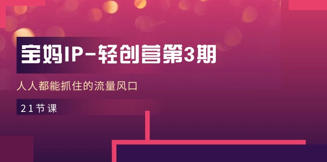 宝妈IP-轻创营第3期,人人都能抓住的流量风口(21节课)_天恒副业网