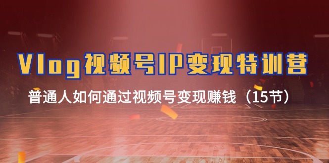 Vlog 视频号IP变现特训营，普通人如何通过视频号变现赚钱_天恒副业网