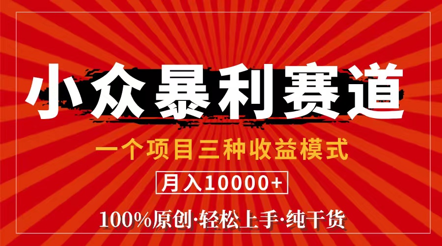 视频号【中老年粉深信不疑】小众赛道 100%原创_天恒副业网