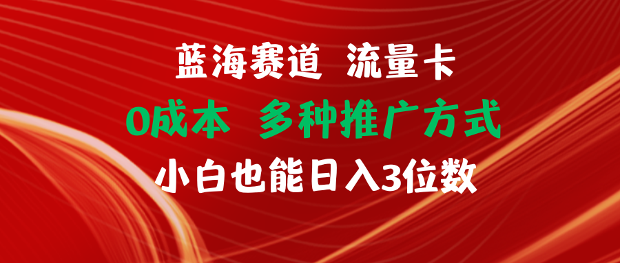 蓝海赛道 流量卡 0成本 小白也能日入三位数_天恒副业网