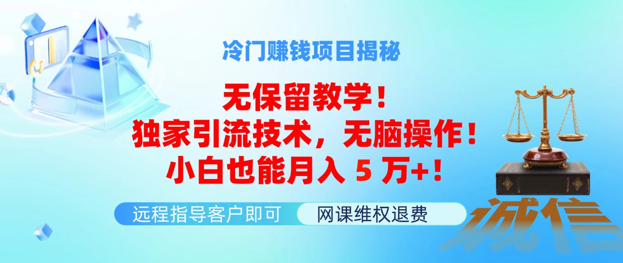 冷门赚钱项目无保留教学！独家引流技术，无脑操作_天恒副业网