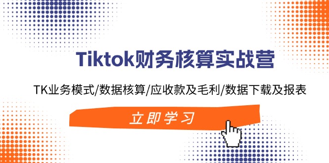 Tiktok财务核算实战营：TK业务模式/数据核算/应收款及毛利/数据下载及报表_天恒副业网