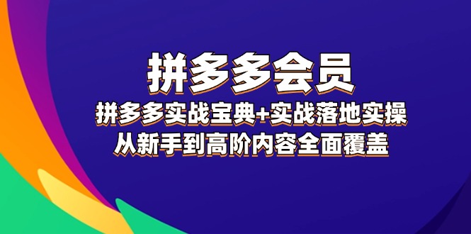 拼多多实战宝典+实战落地实操，从新手到高阶内容全面覆盖_天恒副业网