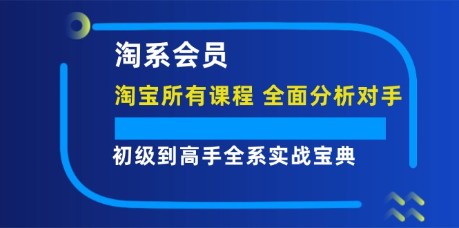 淘系会员【淘宝所有课程，全面分析对手】，初级到高手全系实战宝典_天恒副业网