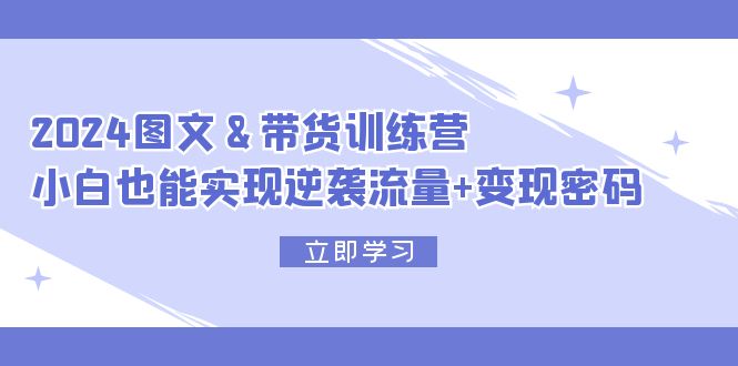 2024 图文+带货训练营，小白也能实现逆袭流量+变现密码_天恒副业网