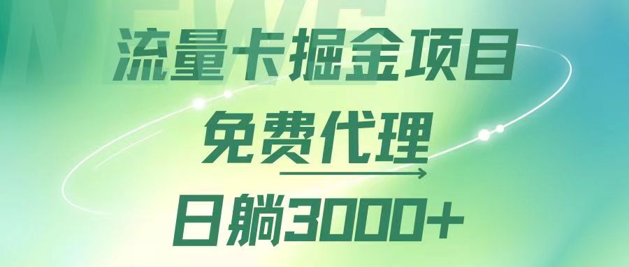 流量卡掘金代理，日躺赚3000+，变现暴力，多种推广途径_天恒副业网