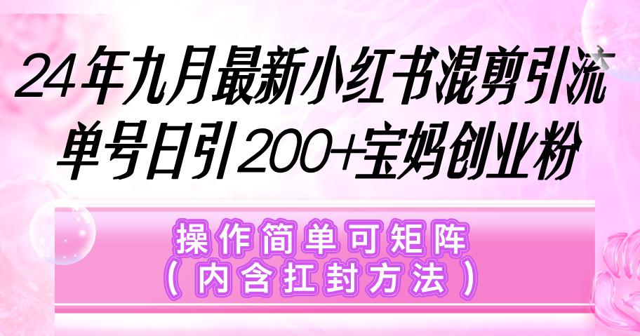小红书混剪引流,单号日引200+宝妈创业粉,操作简单可矩阵_天恒副业网