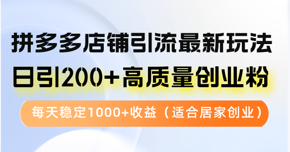 拼多多店铺引流最新玩法，日引200+高质量创业粉_天恒副业网