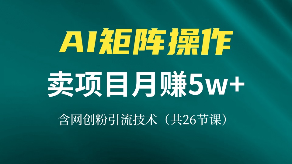 价值8899网创IP打造课，借助AI卖项目月赚5万+，含引流技术（共26节课）_天恒副业网