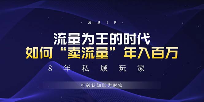 （13433期）未来如何通过“卖流量”年入百万，跨越一切周期绝对蓝海项目_天恒副业网