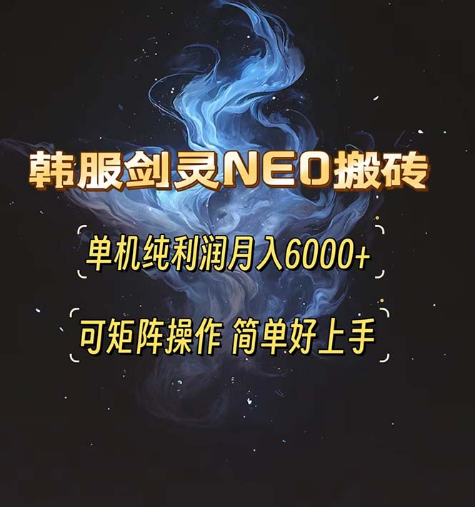 （13435期）韩服剑灵NEO搬砖攻略，单机纯利润月入6000+可矩阵操作，简单好上手。_天恒副业网