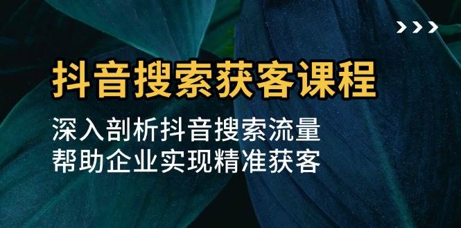 抖音搜索获客课程：深入剖析抖音搜索流量，帮助企业实现精准获客_天恒副业网