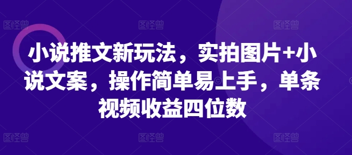 小说推文新玩法，实拍图片+小说文案，操作简单易上手，单条视频收益四位数_天恒副业网