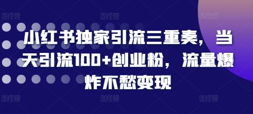 小红书独家引流三重奏，当天引流100+创业粉，流量爆炸不愁变现_天恒副业网