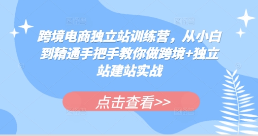 跨境电商独立站训练营,从小白到精通手把手教你做跨境+独立站建站实战_天恒副业网