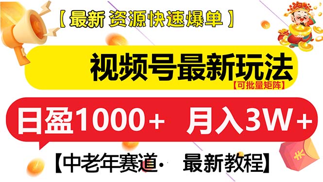 （13530期）视频号最新玩法中老年赛道月入3W+_天恒副业网