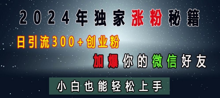 2024年独家涨粉秘籍，日引流300+创业粉，加爆你的微信好友，小白也能轻松上手_天恒副业网