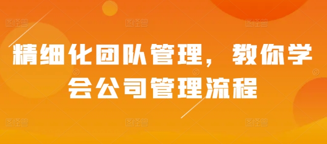 精细化团队管理，教你学会公司管理流程_天恒副业网