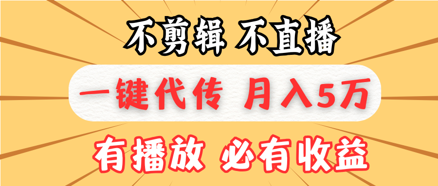 （13555期）不剪辑不直播，一键代发，月入5万懒人必备，我出视频你来发_天恒副业网