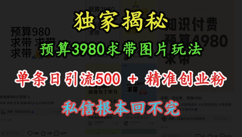 预算3980求带图片玩法，单条日引流500+精准创业粉，私信根本回不完_天恒副业网