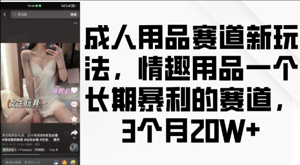 成人用品赛道新玩法，情趣用品一个长期暴利的赛道，3个月收益20个_天恒副业网