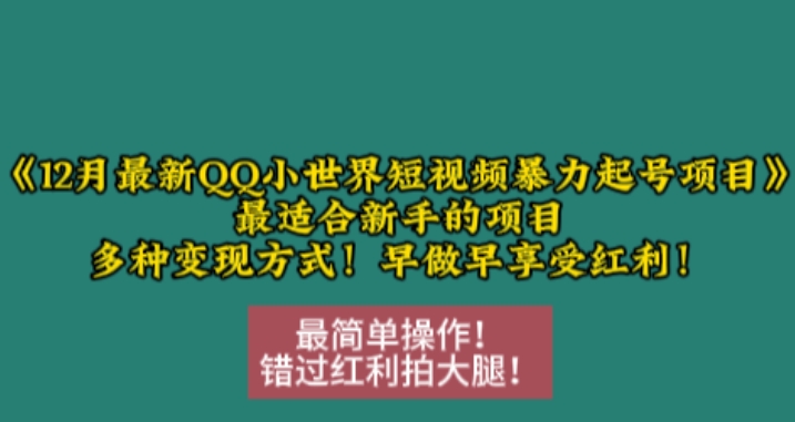 12月最新QQ小世界短视频暴力起号项目，最适合新手的项目，多种变现方式_天恒副业网