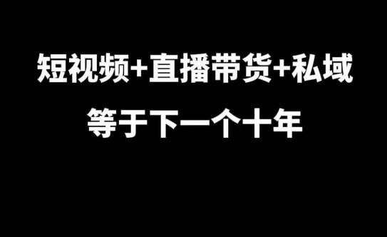 短视频+直播带货+私域等于下一个十年,大佬7年实战经验总结_天恒副业网