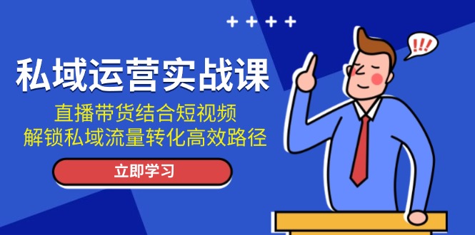 私域运营实战课:直播带货结合短视频,解锁私域流量转化高效路径_天恒副业网
