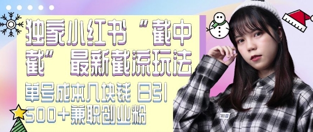 最新小红书截流玩法独家截中截单号成本几块钱日引500+CY粉JZ粉_天恒副业网