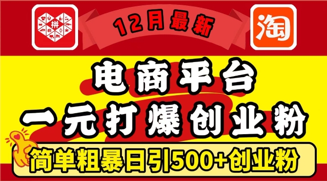 12月最新:电商平台1元打爆创业粉,简单粗暴日引500+精准创业粉,轻松月入过W_天恒副业网