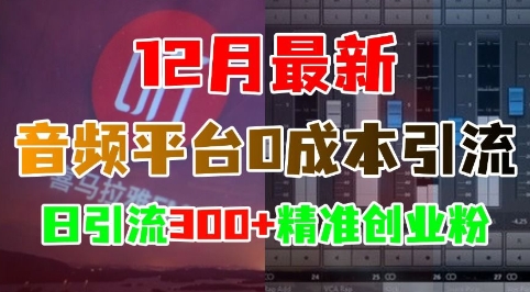 12月最新:音频平台0成本引流,日引流300+精准创业粉_天恒副业网