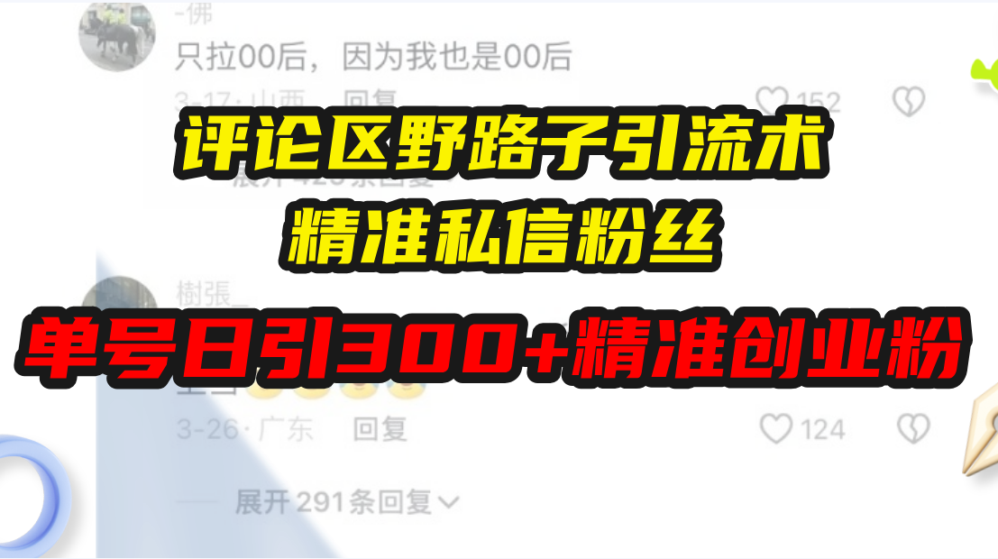 （13676期）评论区野路子引流术，精准私信粉丝，单号日引流300+精准创业粉_天恒副业网