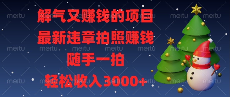 （13686期）解气又赚钱的项目，最新违章拍照赚钱，随手一拍，轻松收入3000+_天恒副业网