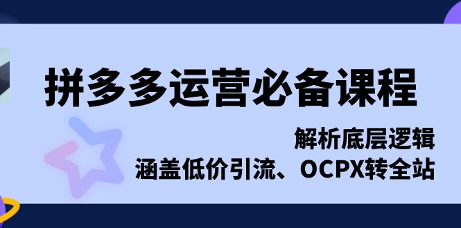 （13700期）拼多多运营必备课程，解析底层逻辑，涵盖低价引流、OCPX转全站_天恒副业网