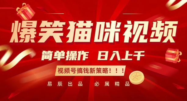 爆笑猫咪视频:简单操作,日入过K,视频号搞钱新策略_天恒副业网