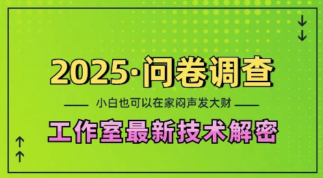 2025问卷调查最新工作室技术解密：一个人在家也可以闷声发大财，小白一天2张，可矩阵放大_天恒副业网