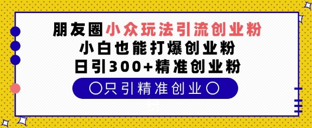 朋友圈小众玩法引流创业粉，小白也能打爆创业粉，日引300+精准创业粉_天恒副业网