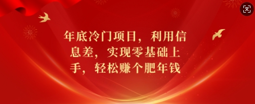 年底冷门项目,利用信息差,实现零基础上手,轻松赚个肥年钱_天恒副业网