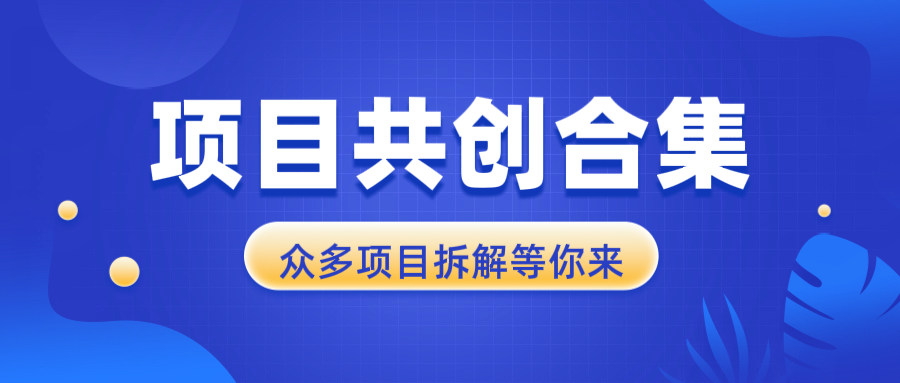 （13778期）项目共创合集，从0-1全过程拆解，让你迅速找到适合自已的项目_天恒副业网