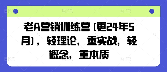 老A营销训练营(更24年12月)，轻理论，重实战，轻概念，重本质_天恒副业网