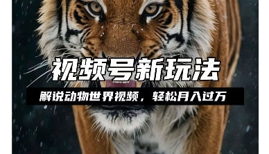 利用动物世界解说视频，赚分成计划收益，轻松月入过W，操作简单_天恒副业网