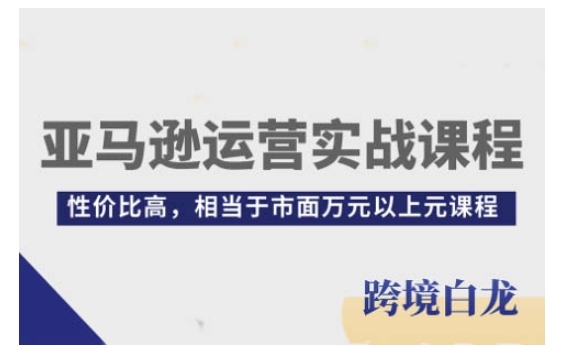 亚马逊运营实战课程,亚马逊从入门到精通,性价比高,相当于市面万元以上元课程_天恒副业网