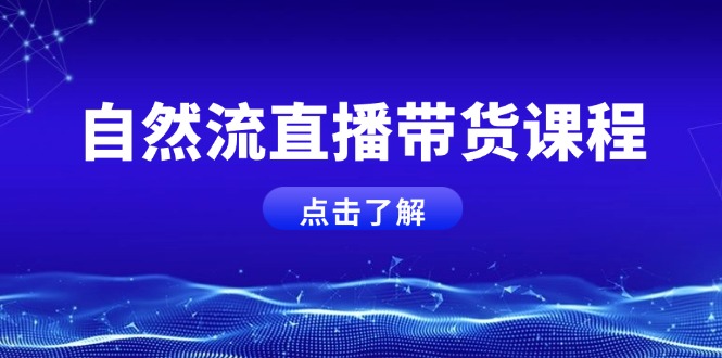 （13809期）自然流直播带货课程，结合微付费起号，打造运营主播，提升个人能力_天恒副业网