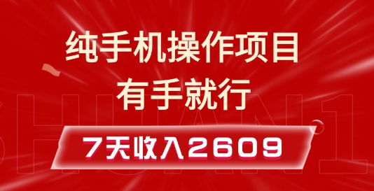 纯手机操作的小项目,有手就能做,7天收入2609+实操教程_天恒副业网