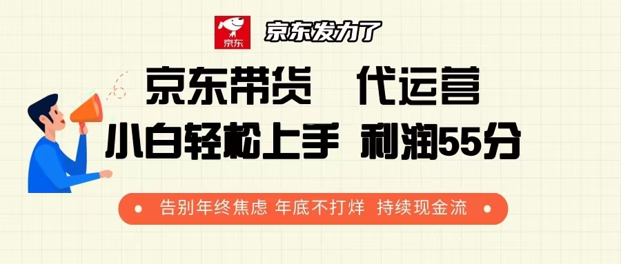 （13833期）京东带货代运营利润55分告别年终焦虑年底不打烊持续现金流_天恒副业网